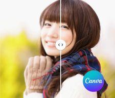 Canva�̉掿��������