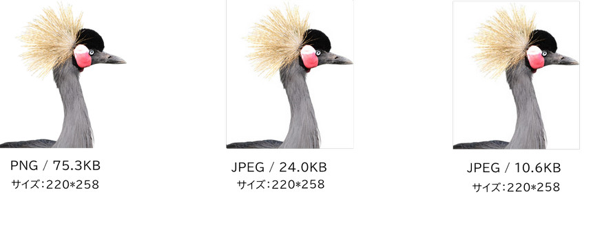 PNGとJPEG画質の違い
