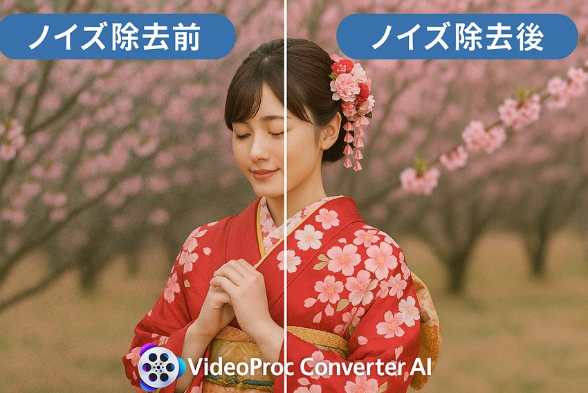 画像ノイズ除去ソフト:VideoProc Converter AI