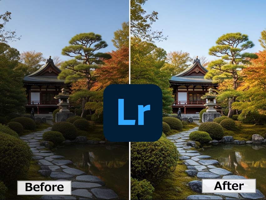 画像ノイズ除去ソフト:Adobe Lightroom