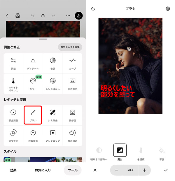 SnapseedňÂʐ^𖾂邭菇FIɖ邭