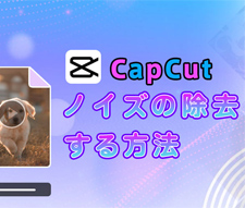 CapCut�Ńm�C�Y����������@