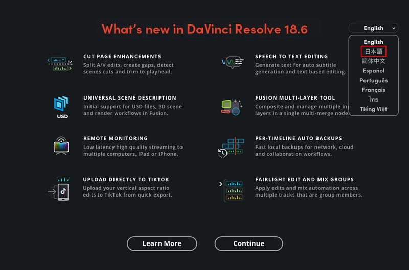 DaVinci Resolveを日本語化する