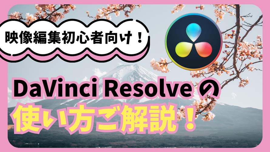 DaVinci Resolve̎g SҌ