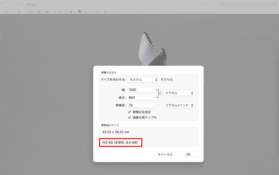Mac�ŉ摜�����T�C�Y����菇