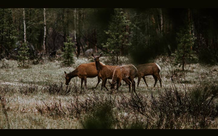 動画アスペクト比変更〜上下に黒帯追加