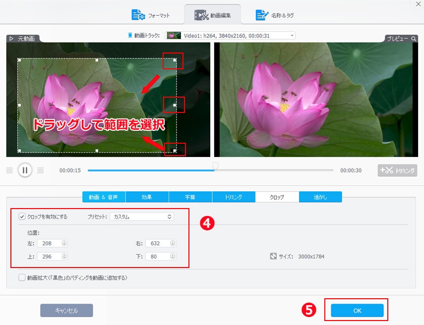 有料動画圧縮ソフト