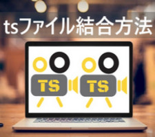 TS�t�@�C���������@
