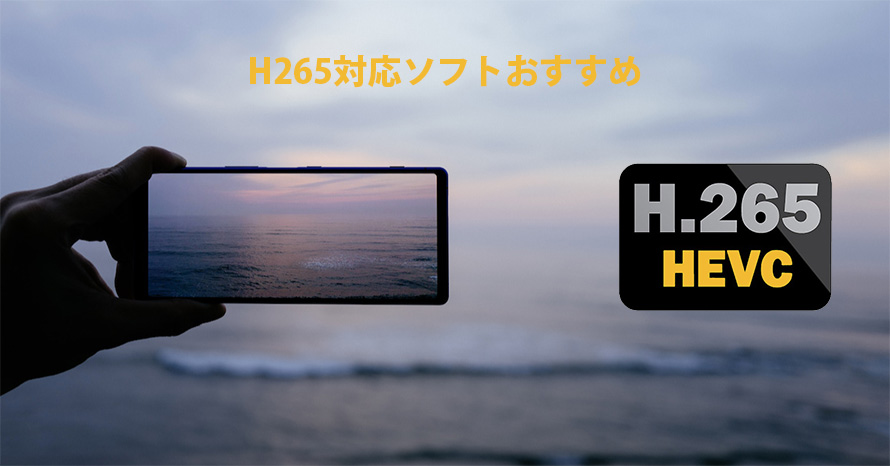 H265 Hevc 対応ソフトおすすめ 再生 変換 編集