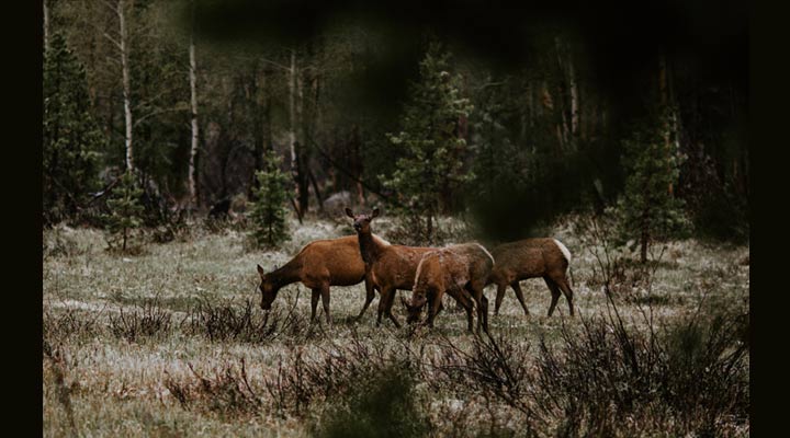 動画アスペクト比変更〜左右に黒帯追加