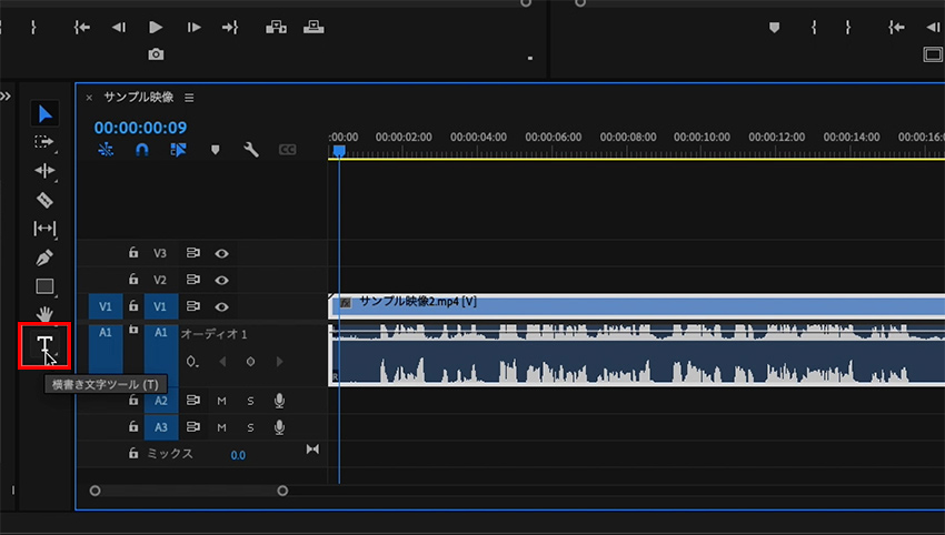 Adobe Premiere Proŕ