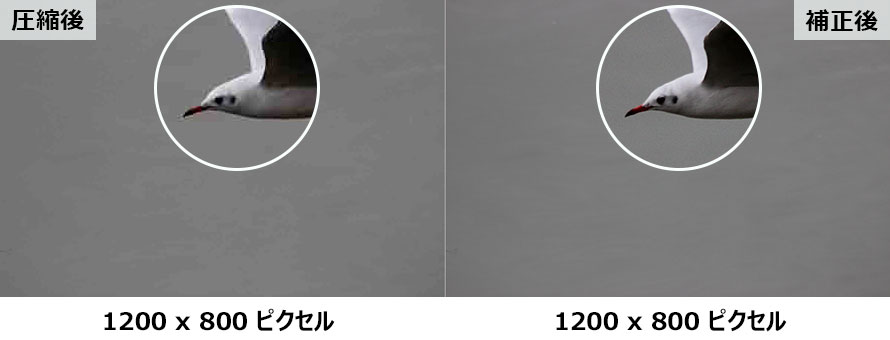 �掿�𗎂Ƃ����ɉ摜�̃T�C�Y���k�����邽�߂̃R�c