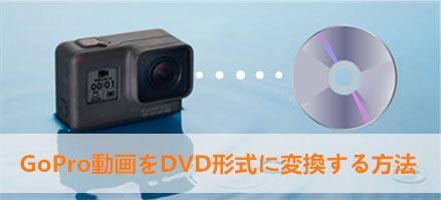 GoPro DVDϊ