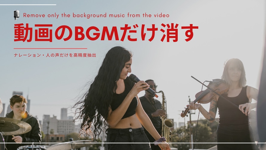 動画のBGMだけ消す