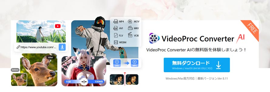 VideoProc Converter AIのダウンロード・インストール手順1