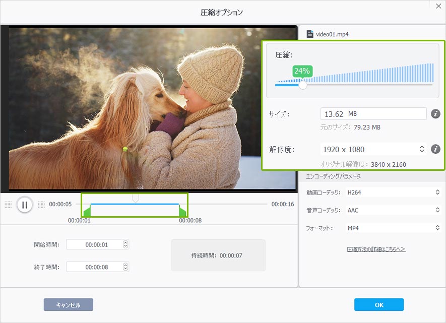 VideoProc Converter AI 動画圧縮の使い方ステップ5