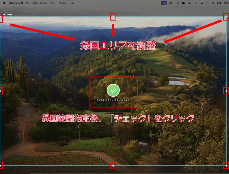 MacXvideo AI�ŃX�g���[�~���O�����^�悷��菇2