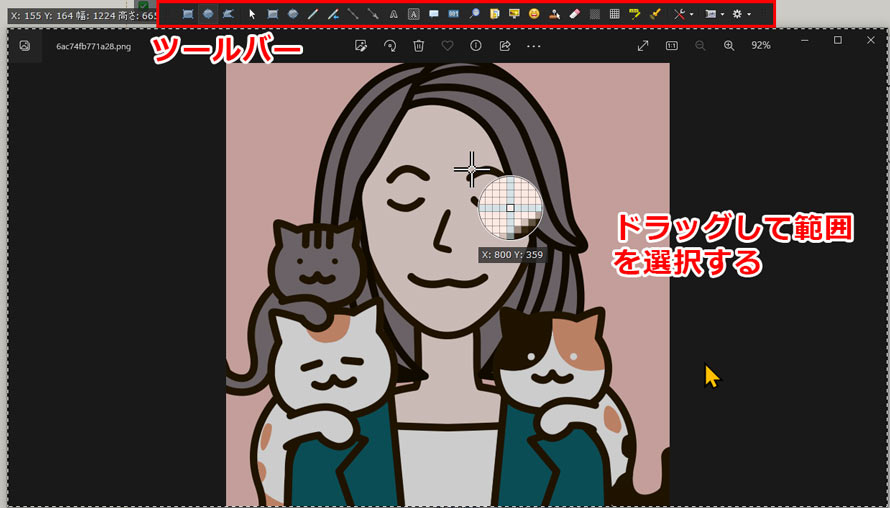 ShareX�ŗ̈�L���v�`���[������@