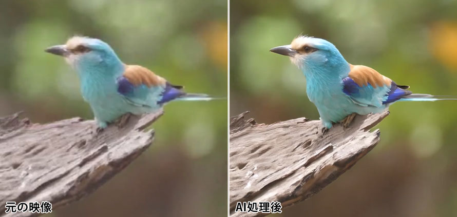 録画画質の比較