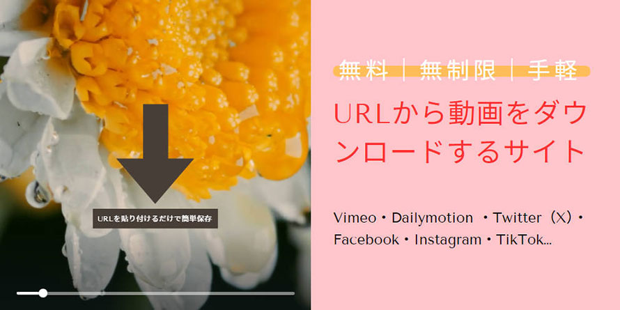 動画ダウンロードサイト URL