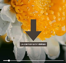 ̉yTCg