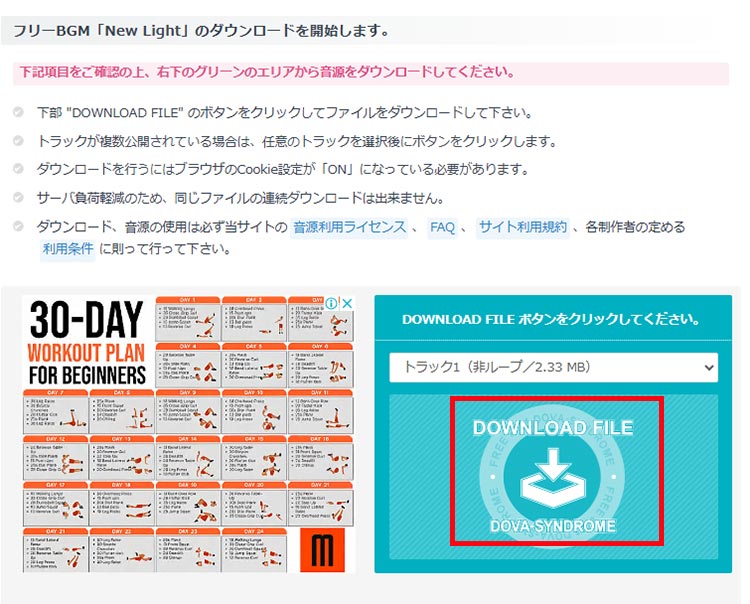 「DOWNLOAD FILE」ボタンをクリック
