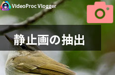 動画から静止画を切り出す