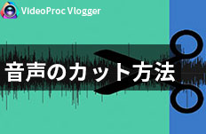 VideoProc Vloggerg