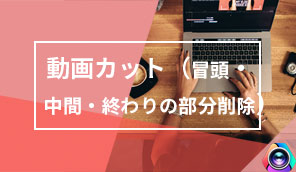 �v��Ȃ��������J�b�g