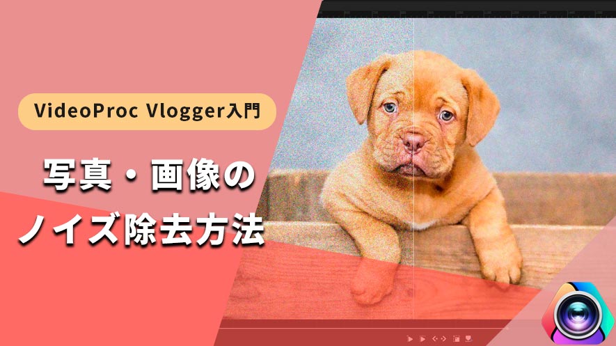 VideoProc VloggergF摜mCY