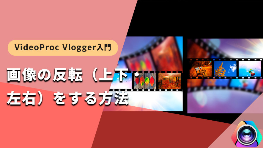VideoProc VloggergF摜]