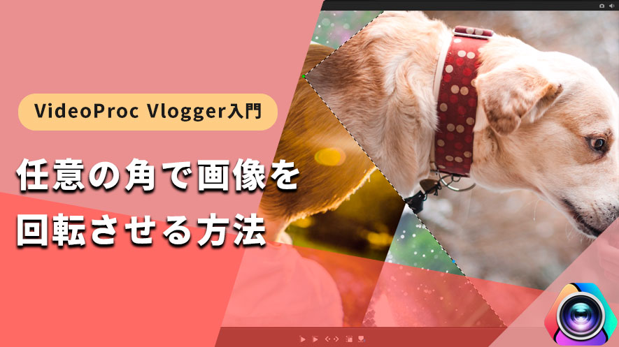 VideoProc VloggergF摜]