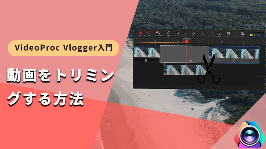 VideoProc Vloggerg~O