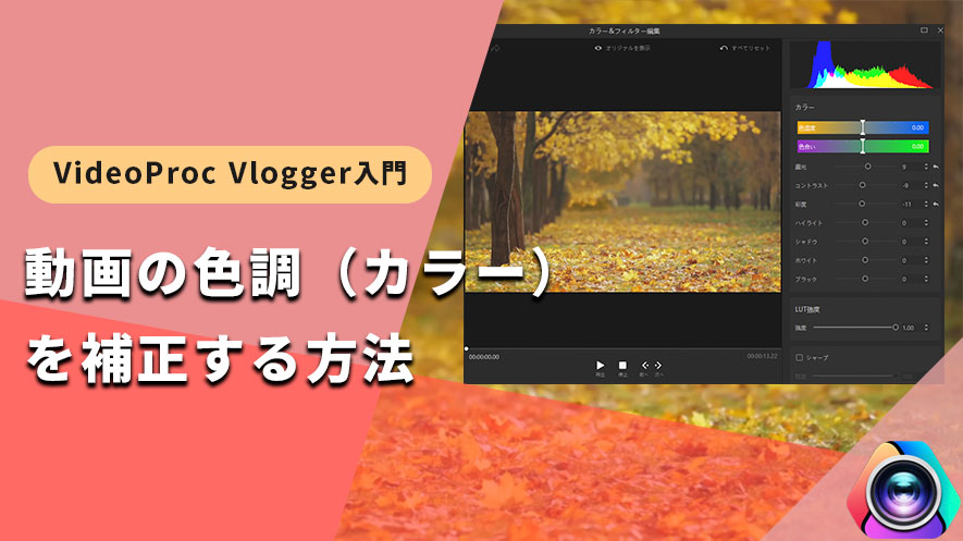 VideoProc VloggerF␳